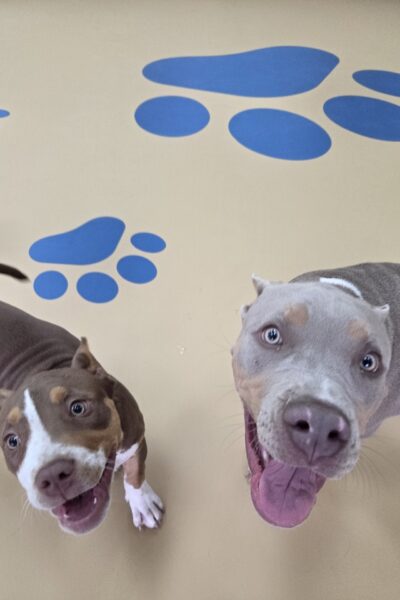 Kiara and Sarabi
